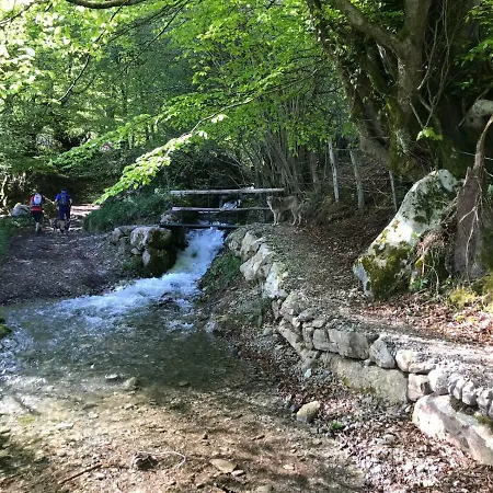 Las Lagartijas Rano