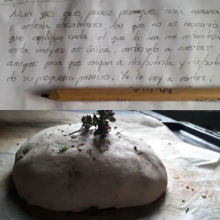 Las Lagartijas