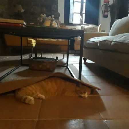 Casa de Campo Las Lagartijas