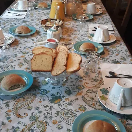 Las Lagartijas